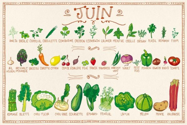 Les fruits et légumes de saison pour les mois de mai et juin