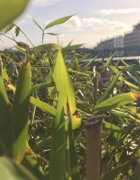 Mon bilan culturel de Juin !