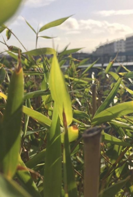 Être plus détendue : 5 habitudes à prendre