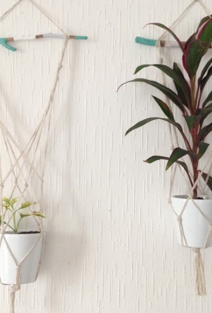 Tendance déco : succombez à la tendance des plantes suspendues