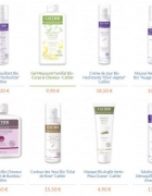 La fraise: 15 histoires de fruits