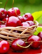 Festival : les essentiels beauté à emporter