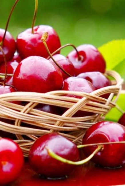 Fruits, légumes et poissons en Mai et Juin