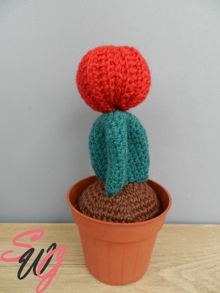 diy cactus crochet