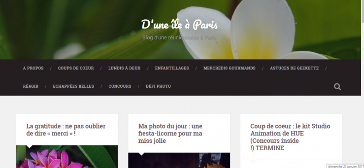 blog-dune-ile-a-paris