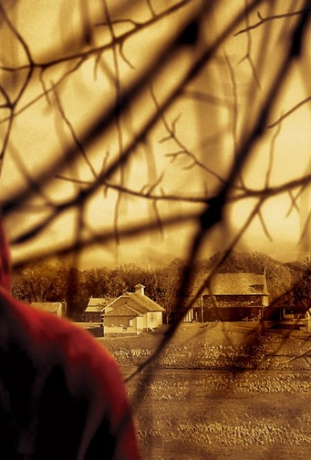 5 films avec une chute à couper le souffle !