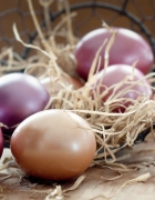 Tendance déco : Zoom sur… le style scandinave