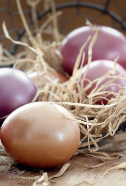 Des idées de déco et de recettes pour Pâques