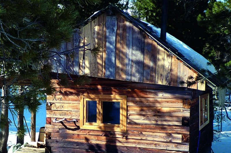 Chronique littéraire du livre Dans les forêts de Sibérie