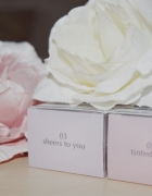 “Highlight on Fleek” avec la palette Nicole Guerriero Glow Kit d’Anastasia Beverly Hills