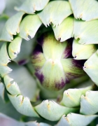 Potager City : des fruits et légumes tout juste cueillis livrés directement chez vous !