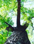 Oubliez le bureau le temps d’un weekend en Bretagne