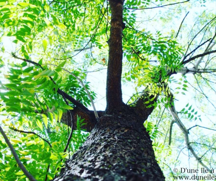 35 idées pour garder la Hygge Attitude cet été