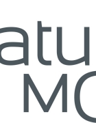 Assassination Classroom : les films live