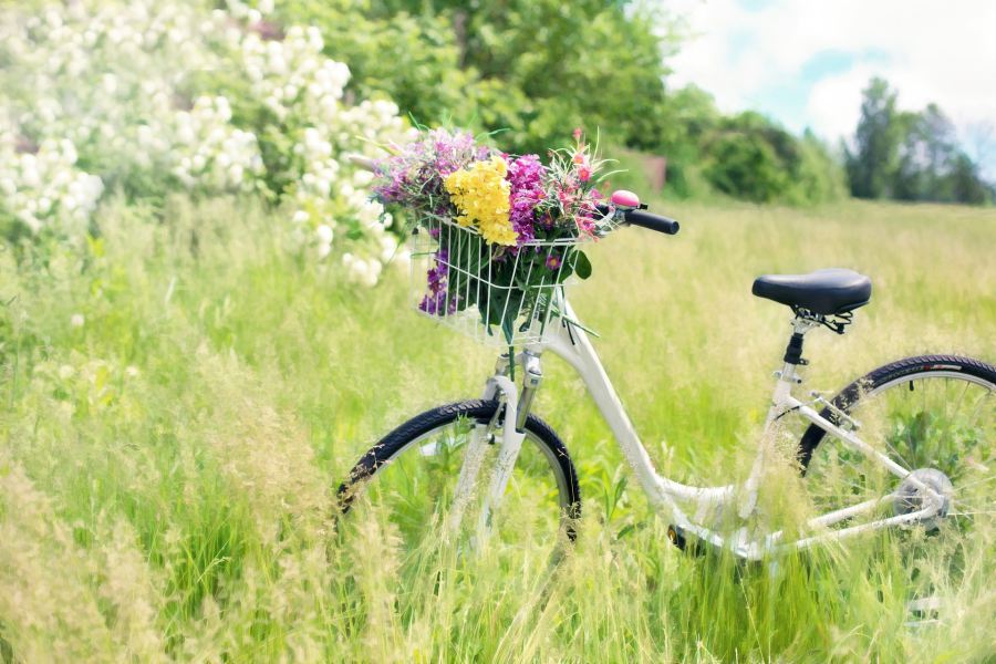 Vélo avec un panier de fleurs dans un pré