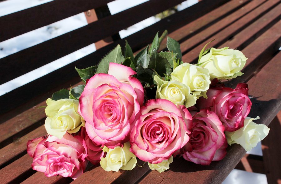 Bouquet de fleurs sur un banc