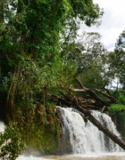 Les savoureux plats cambodgiens