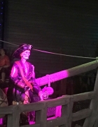 Aménageons nos terrasses et balcons !